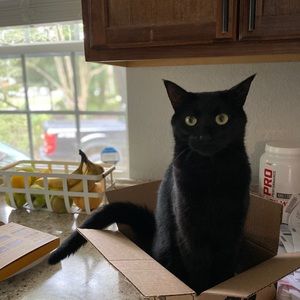 Meet your Posher, Erika